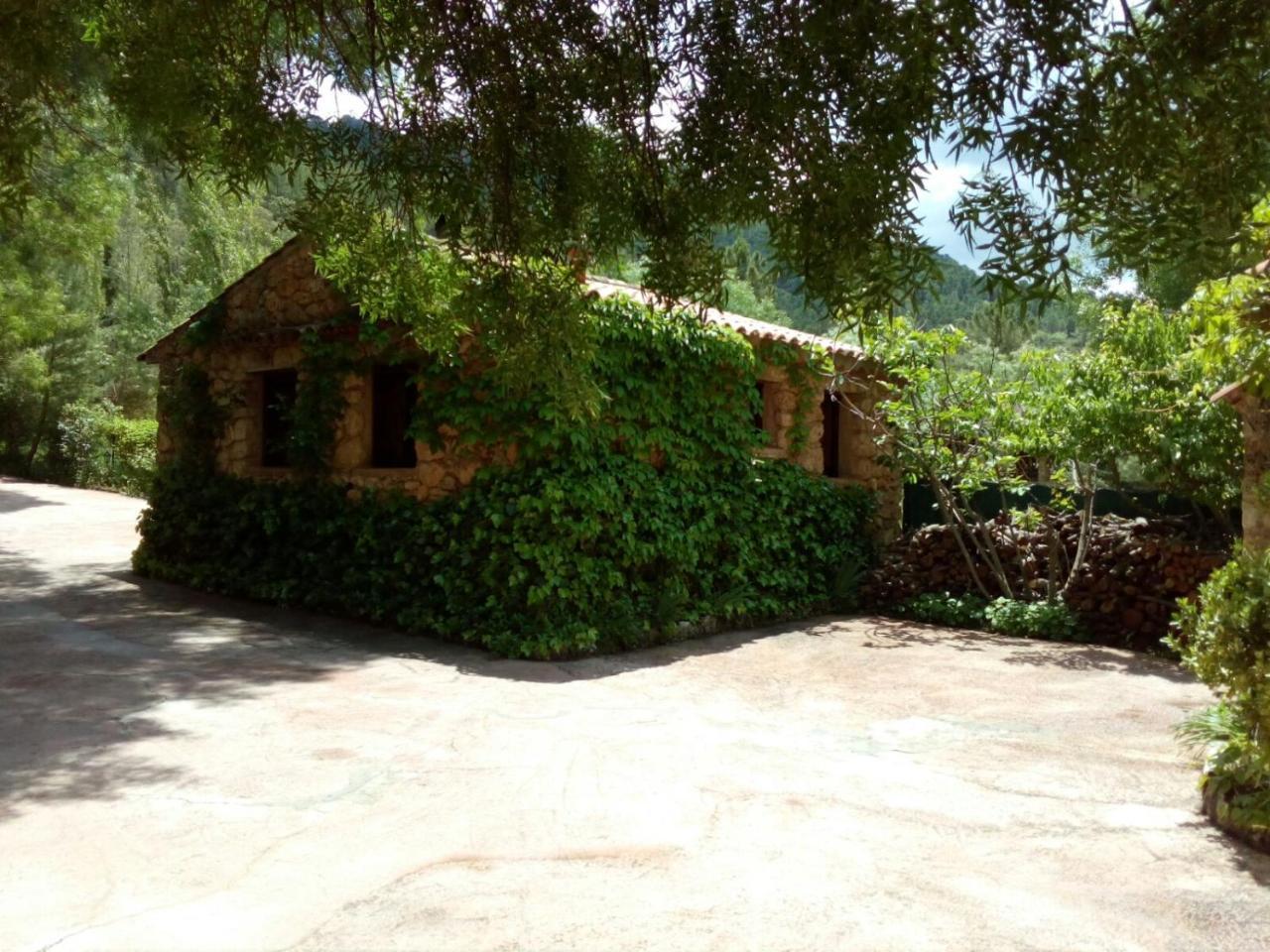 Casas Rurales Picos Del Oso Riópar Exterior foto